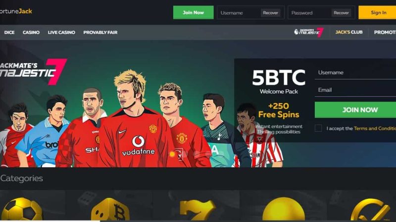 FortuneJack Casino Delivers Big Wins: 110% Deposit Bonus + 250 Free Spins!